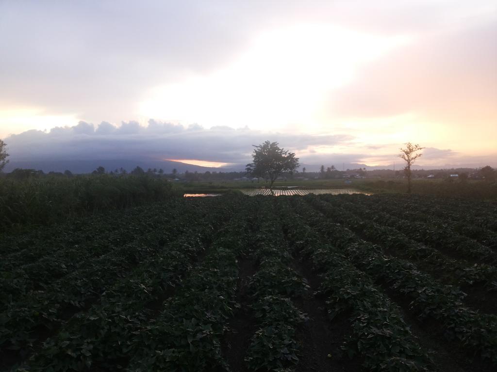 Koto Hilalang Homestay Bukittinggi Pokoj fotografie